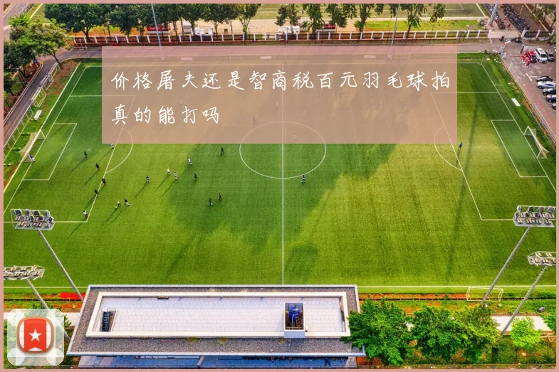价格屠夫还是智商税百元羽毛球拍真的能打吗