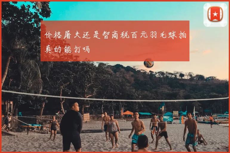 价格屠夫还是智商税百元羽毛球拍真的能打吗